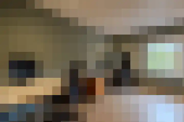 Spoordonkseweg 133 Oirschot thumbnail 17