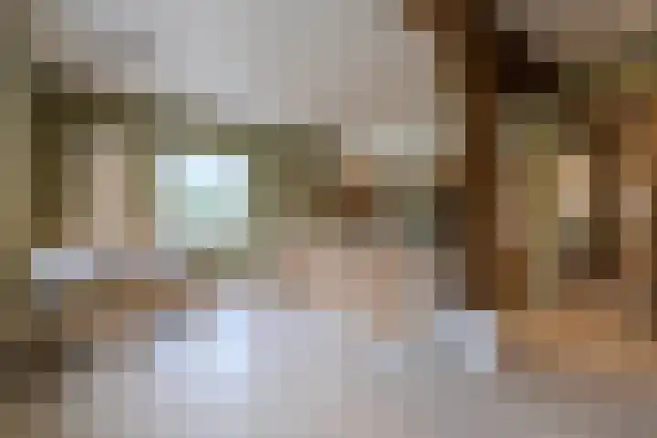 Spoordonkseweg 133 Oirschot thumbnail 18