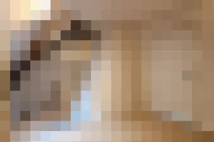 Spoordonkseweg 133 Oirschot thumbnail 23