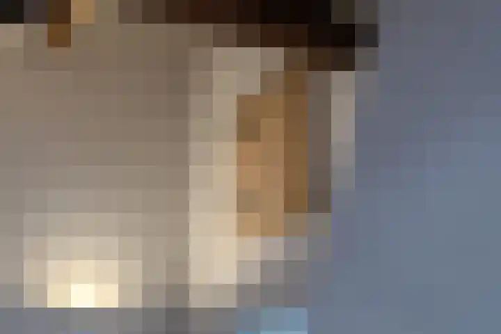 Spoordonkseweg 133 Oirschot thumbnail 24