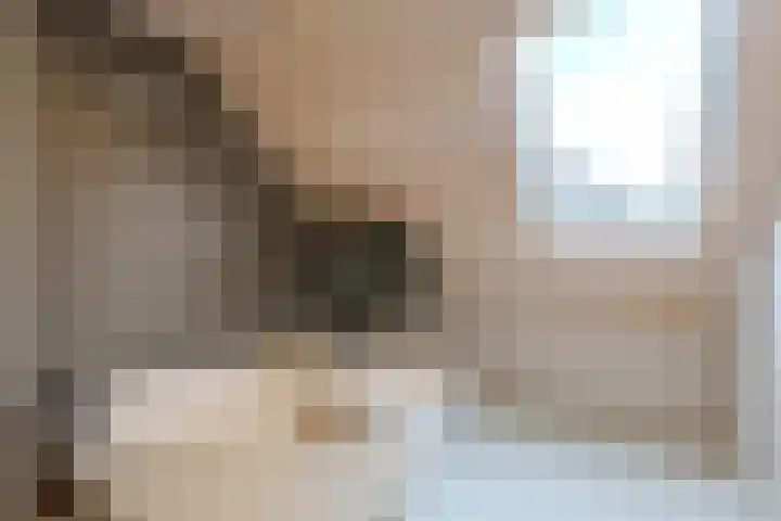 Spoordonkseweg 133 Oirschot thumbnail 25
