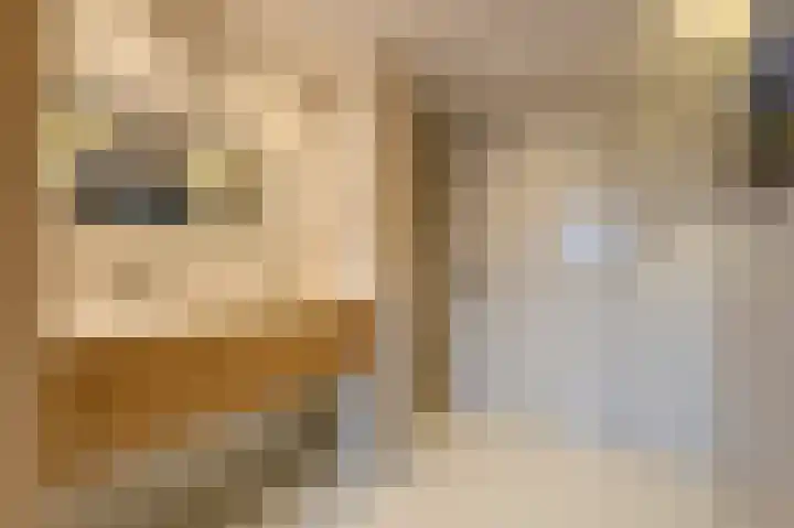 Spoordonkseweg 133 Oirschot thumbnail 27