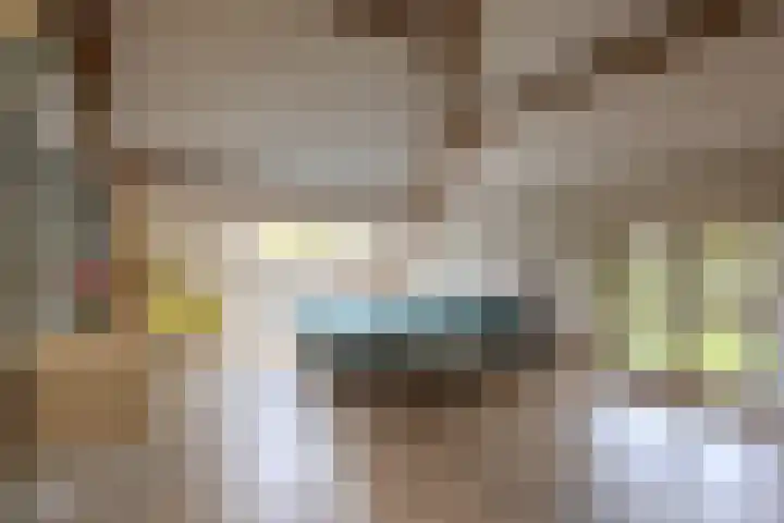 Spoordonkseweg 133 Oirschot thumbnail 29