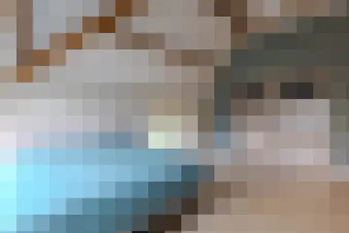 Spoordonkseweg 133 Oirschot thumbnail 30