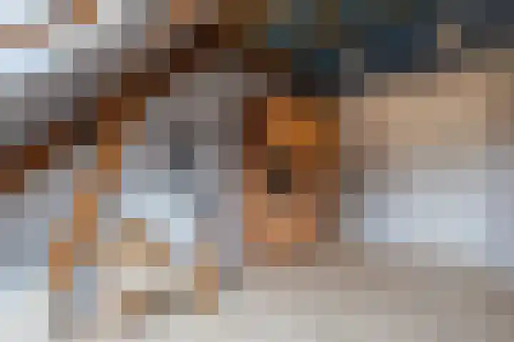 Spoordonkseweg 133 Oirschot thumbnail 34