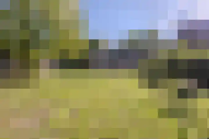 Spoordonkseweg 133 Oirschot thumbnail 37