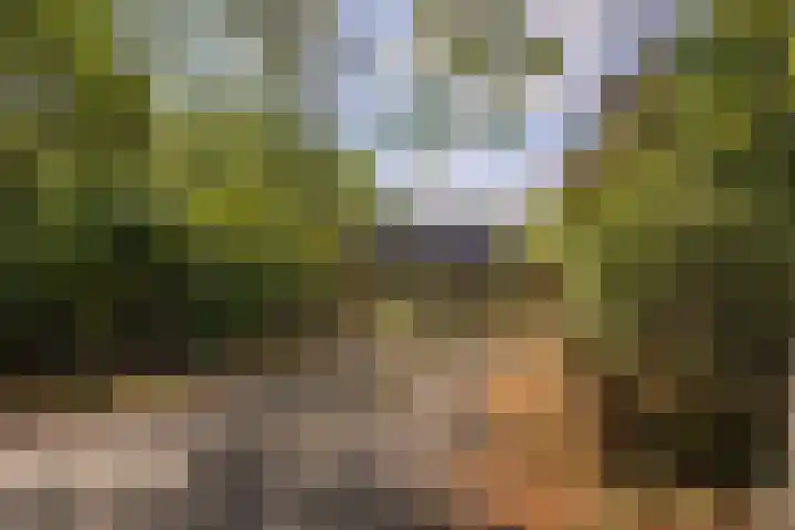 Spoordonkseweg 133 Oirschot thumbnail 38