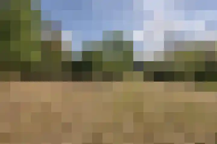 Spoordonkseweg 133 Oirschot thumbnail 39