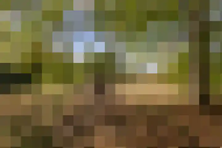 Spoordonkseweg 133 Oirschot thumbnail 40