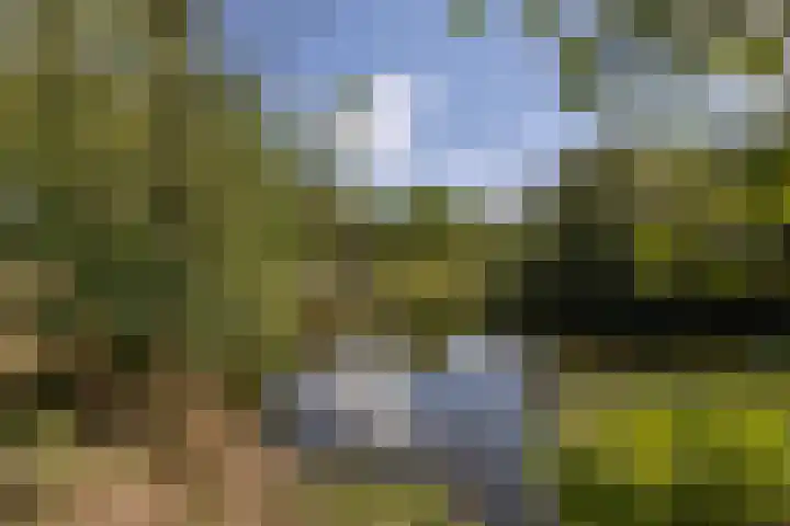 Spoordonkseweg 133 Oirschot thumbnail 41