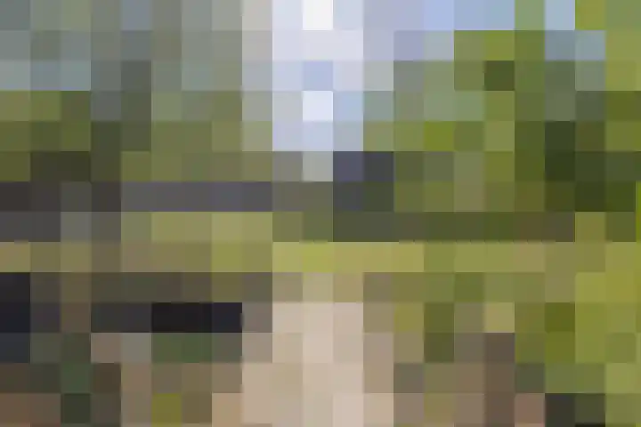 Spoordonkseweg 133 Oirschot thumbnail 42