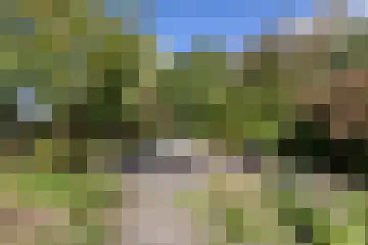 Spoordonkseweg 133 Oirschot thumbnail 43