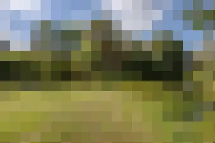 Spoordonkseweg 133 Oirschot thumbnail 44