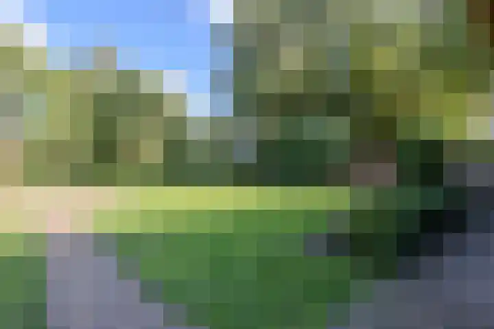 Spoordonkseweg 133 Oirschot thumbnail 45