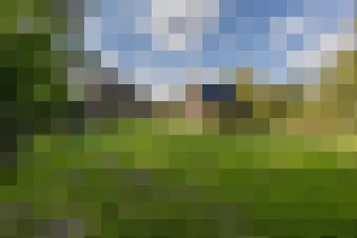 Spoordonkseweg 133 Oirschot thumbnail 46