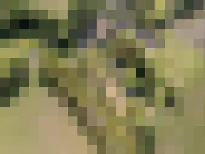 Spoordonkseweg 133 Oirschot thumbnail 47
