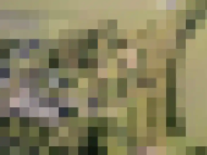 Spoordonkseweg 133 Oirschot thumbnail 48