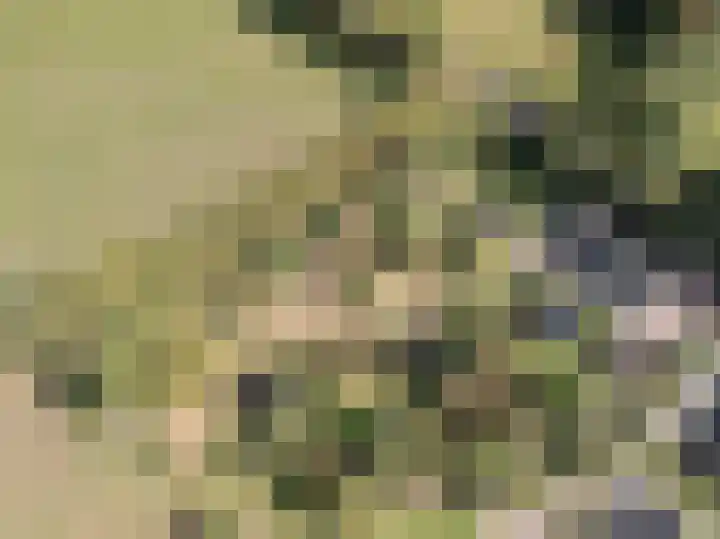 Spoordonkseweg 133 Oirschot thumbnail 49