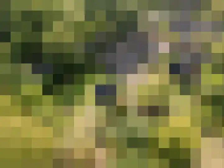 Spoordonkseweg 133 Oirschot thumbnail 5