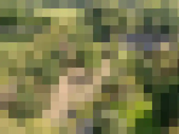 Spoordonkseweg 133 Oirschot thumbnail 50