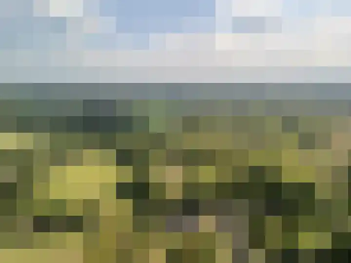 Spoordonkseweg 133 Oirschot thumbnail 51