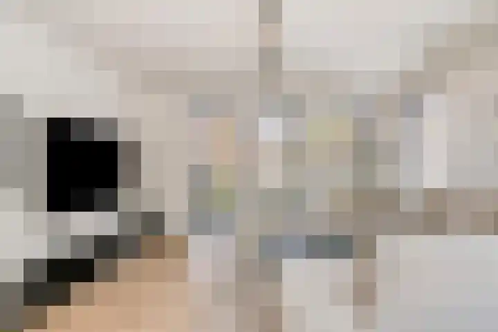 Spoordonkseweg 2 Oirschot thumbnail 15