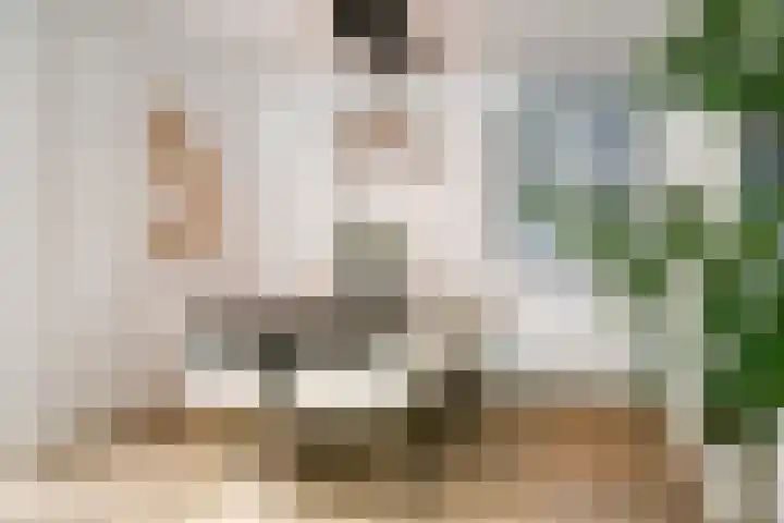 Spoordonkseweg 2 Oirschot thumbnail 16