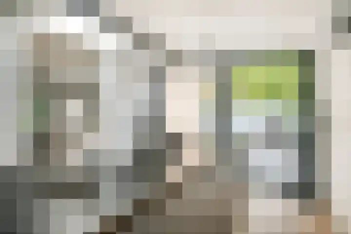 Spoordonkseweg 2 Oirschot thumbnail 19
