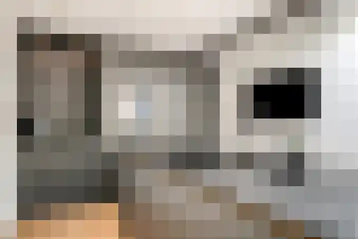 Spoordonkseweg 2 Oirschot thumbnail 22