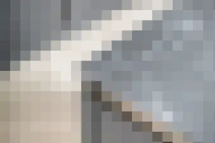 Spoordonkseweg 2 Oirschot thumbnail 23