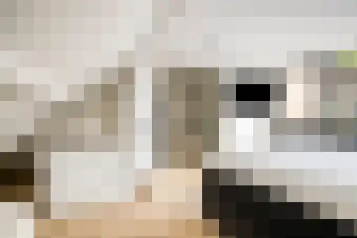 Spoordonkseweg 2 Oirschot thumbnail 29