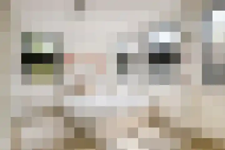 Spoordonkseweg 2 Oirschot thumbnail 30