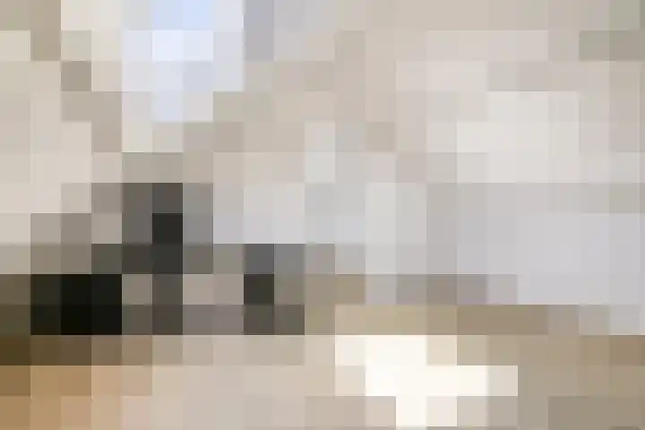 Spoordonkseweg 2 Oirschot thumbnail 37