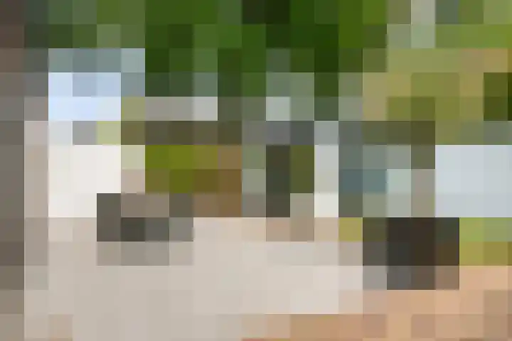 Spoordonkseweg 2 Oirschot thumbnail 38