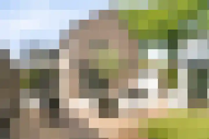 Spoordonkseweg 2 Oirschot thumbnail 39