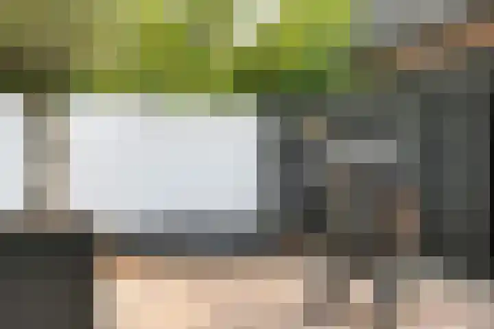 Spoordonkseweg 2 Oirschot thumbnail 41