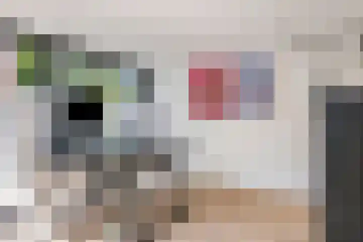 Spoordonkseweg 2 Oirschot thumbnail 44