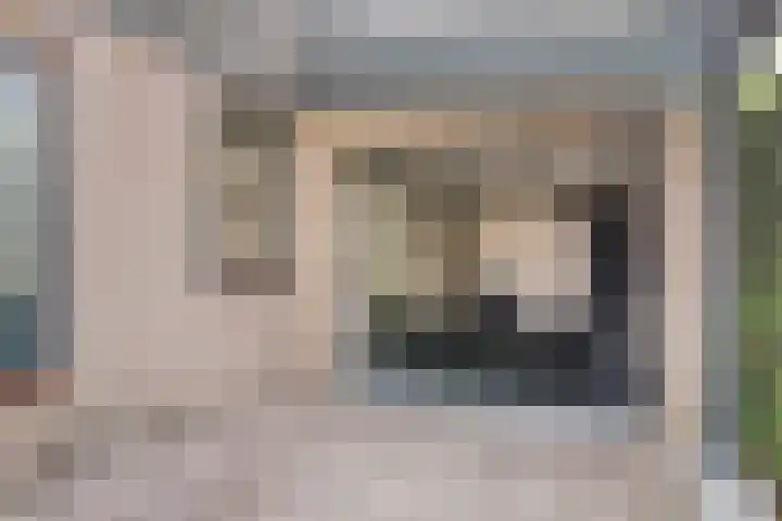 Spoordonkseweg 2 Oirschot thumbnail 49