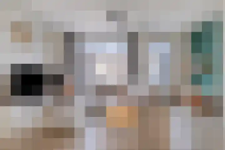 Spoordonkseweg 85 C Oirschot thumbnail 10