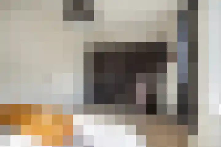Spoordonkseweg 85 C Oirschot thumbnail 20