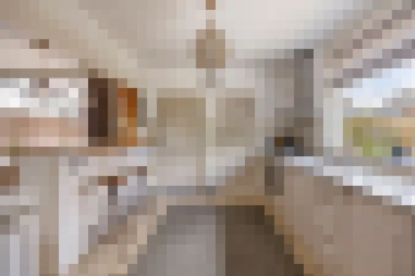 Spoordonkseweg 86 A Oirschot thumbnail 13