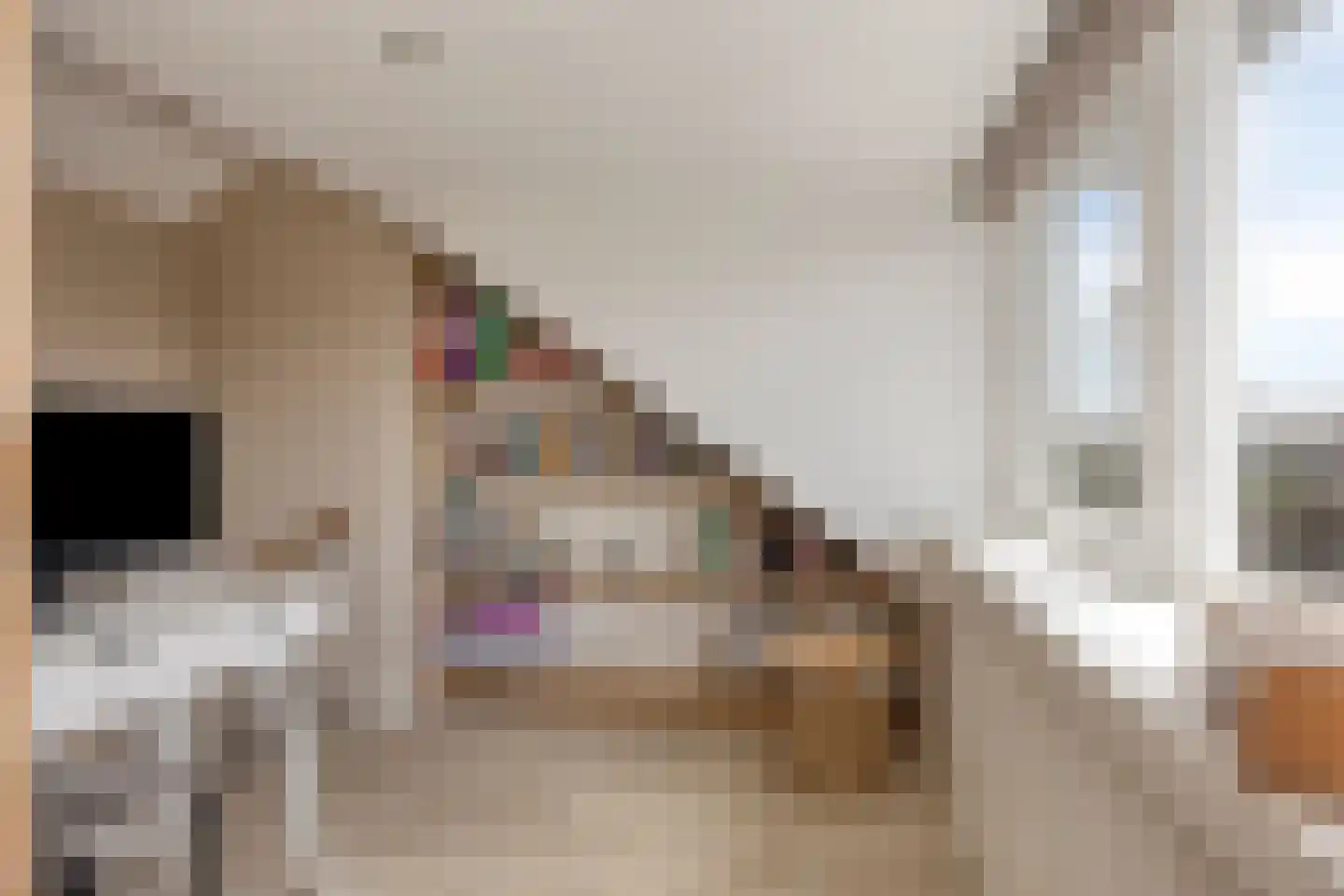 Spoordonkseweg 86 A Oirschot thumbnail 36