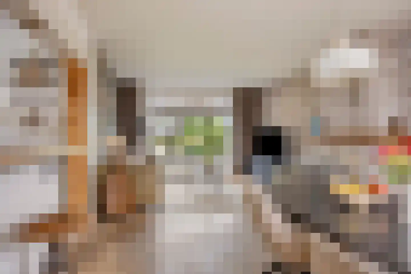 Spoordonkseweg 86 A Oirschot thumbnail 4