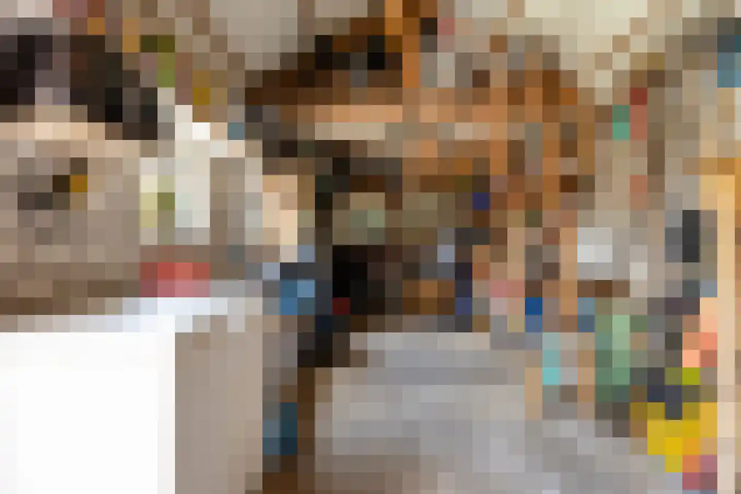 Spoordonkseweg 86 A Oirschot thumbnail 46