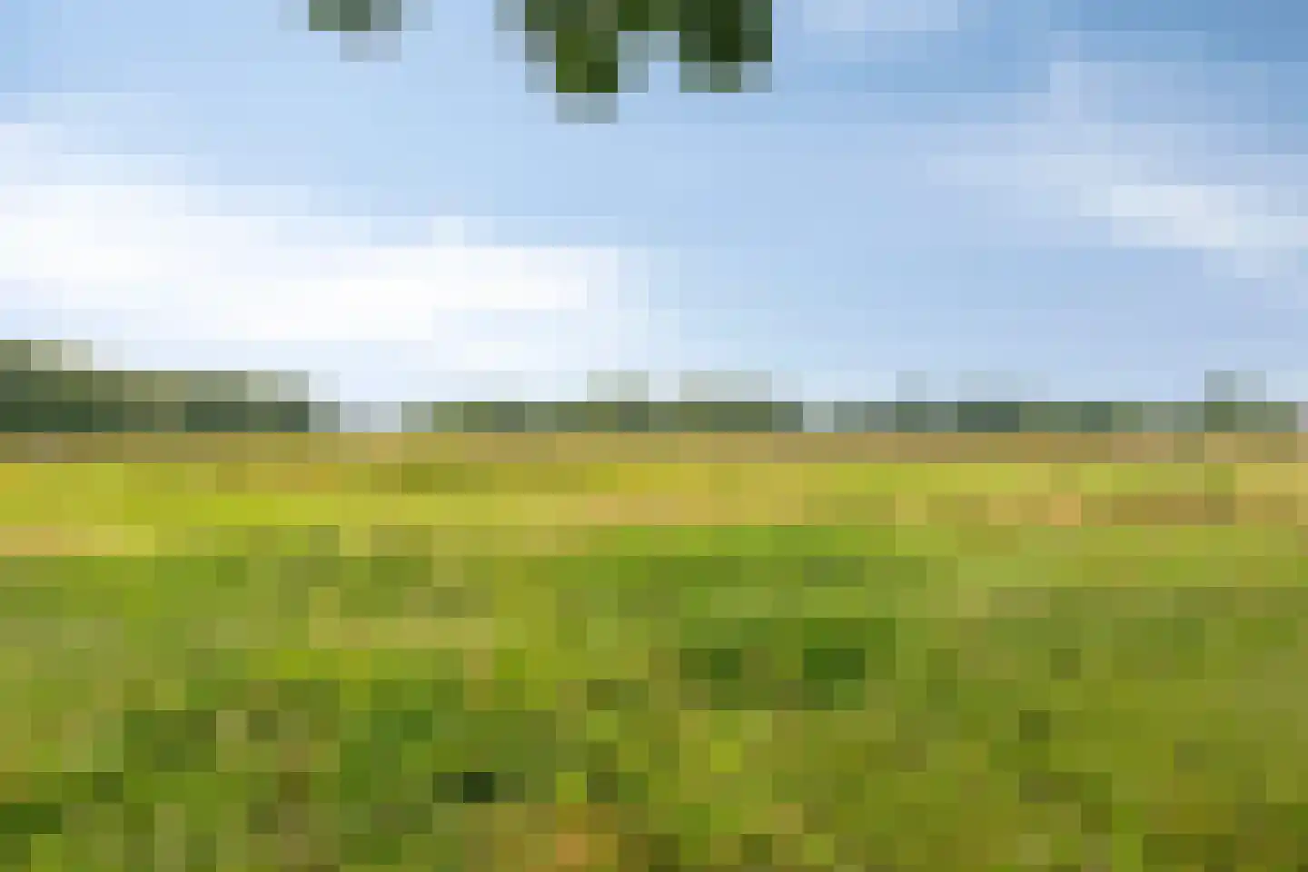 Spoordonkseweg 86 A Oirschot thumbnail 48