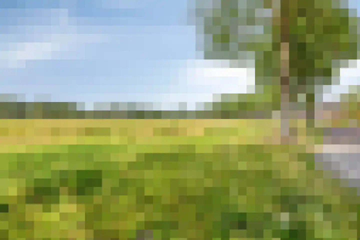 Spoordonkseweg 86 A Oirschot thumbnail 49