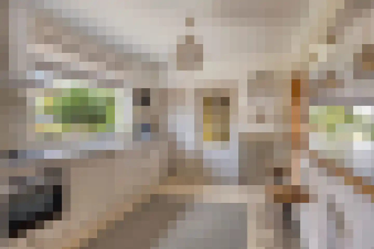 Spoordonkseweg 86 A Oirschot thumbnail 5