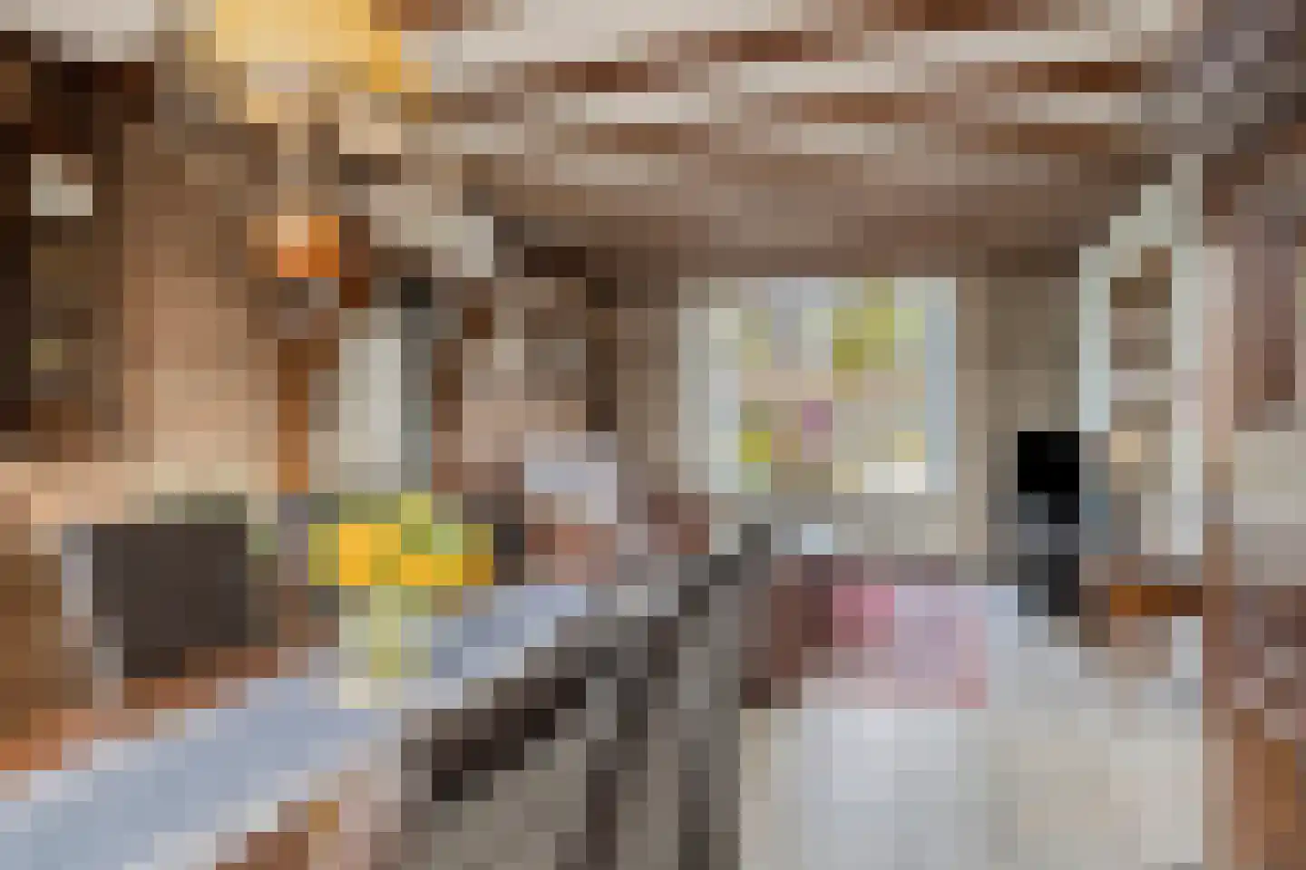 Spoordonkseweg 86 Oirschot thumbnail 10