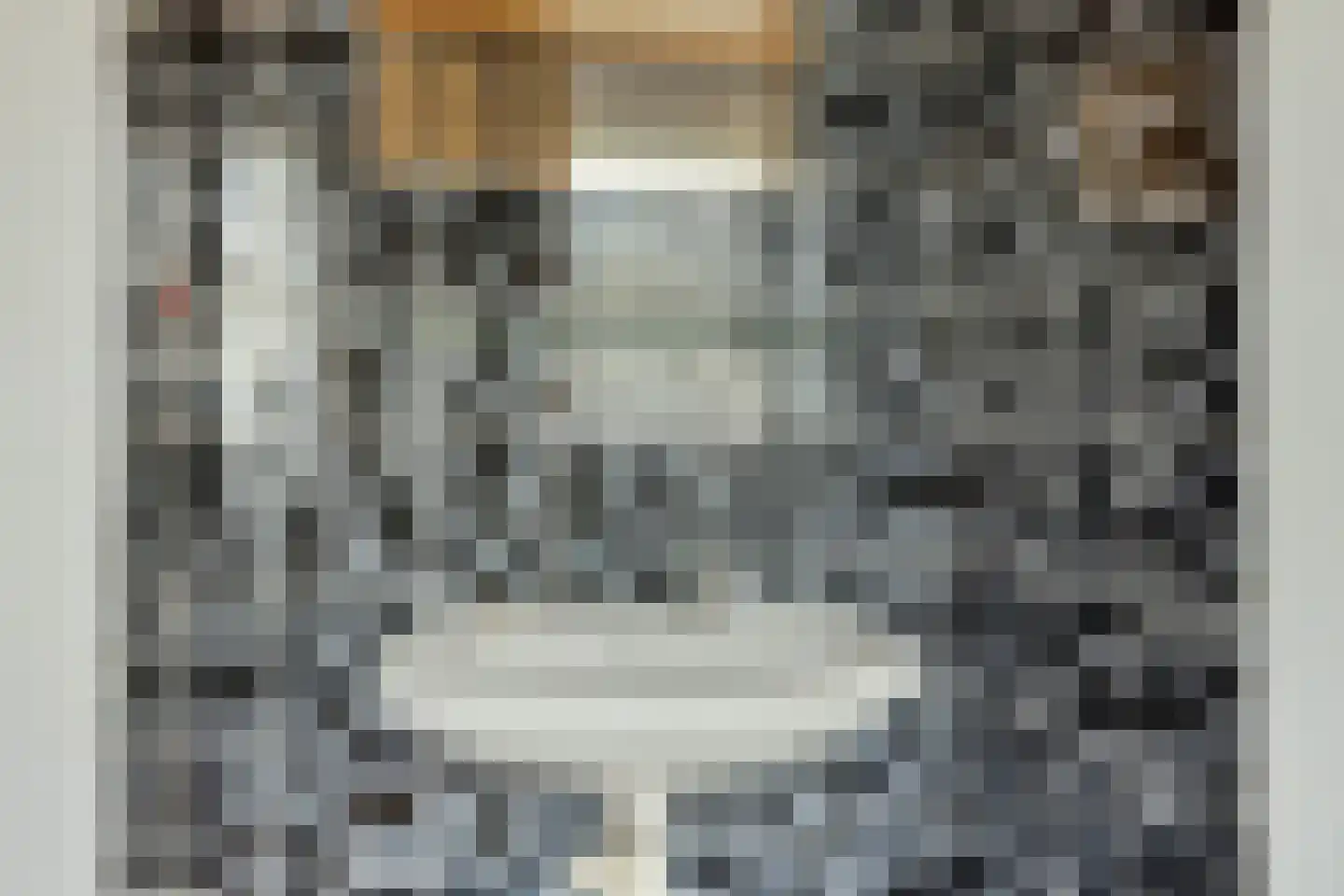 Spoordonkseweg 86 Oirschot thumbnail 28
