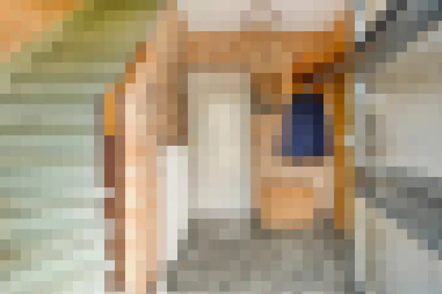 Spoordonkseweg 86 Oirschot thumbnail 7
